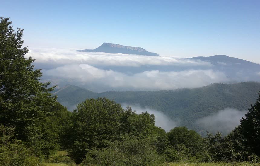 جنگل ابر کجاست؟